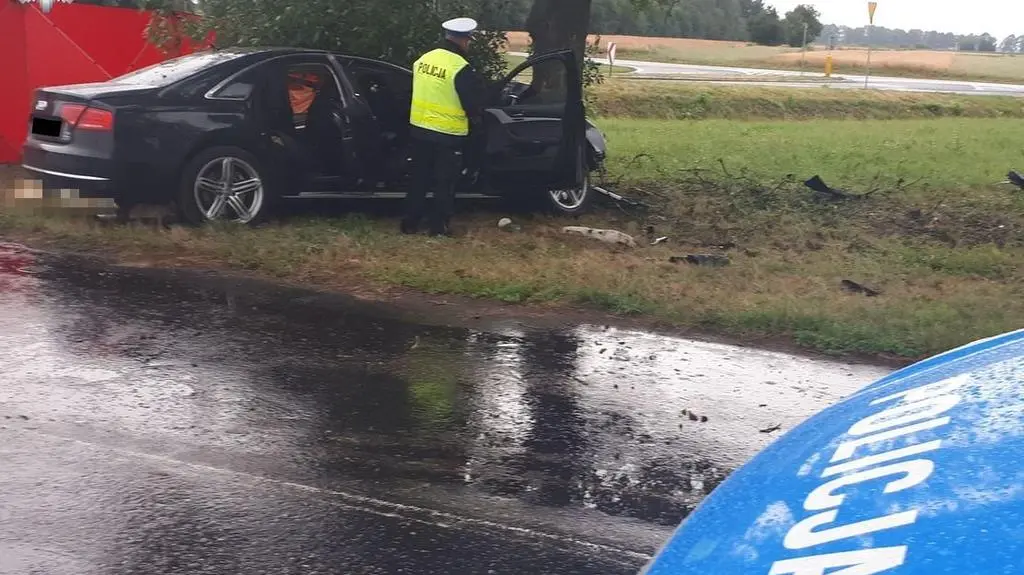 Samochód uderzył w drzewo