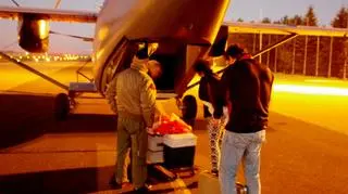 Samolot czekał w gotowości od 5