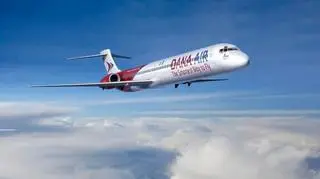 Samolot należał do linii Dana Air