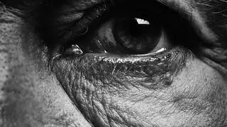 Sandro Miller - Bill Brandt "Eyes (1960-1964) (B), 2014"