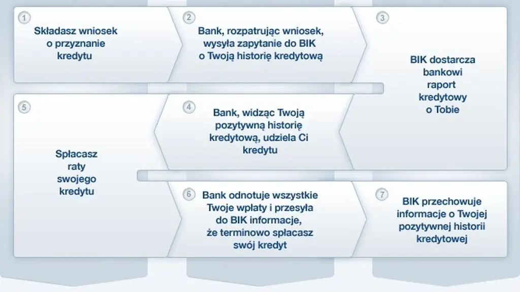 Schemat działania BIK 