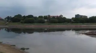 Ścieki wpłynęły do Warty