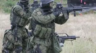 Siły szybkiego reagowania mają zatrzymać "zielone ludziki"
