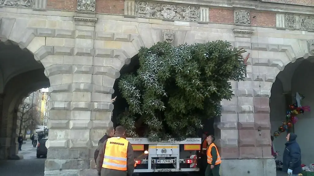 Skomplikowana operacja "Świerk"