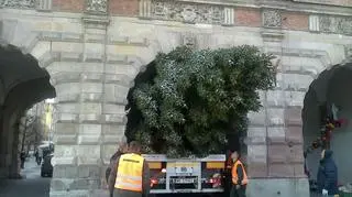 Skomplikowana operacja "Świerk"