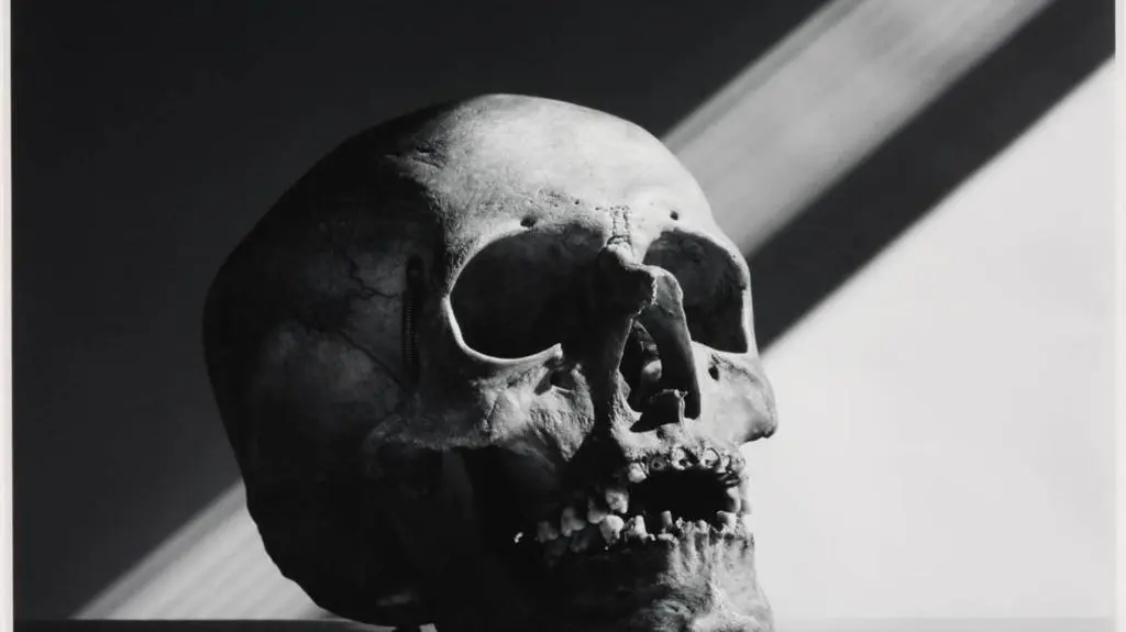 Skull, 1988
