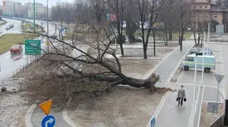 Skutki wiatru w Sosnowcu, ul. Orla/Pułaskiego