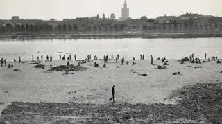 Sławomir Mrożek na archiwalnych zdjęciach Ireny Jarosińskiej 