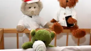 Słonik jest już po zabiegu
