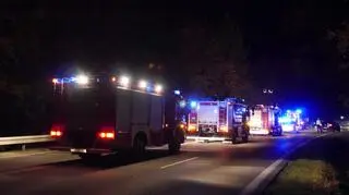 Służby ratunkowe na miejscu wypadku