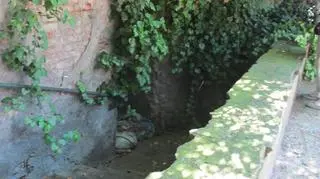 Śmieci przy schodach