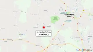 Śmierć kobiety na drodze w Ptakowicach