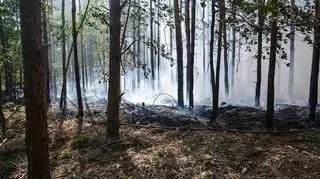 Spłonęło 27 arów lasu