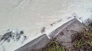 Sprawa trafiła do prokuratury