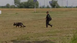 Sprawdzano umiejętności psów patrolowo-tropiących