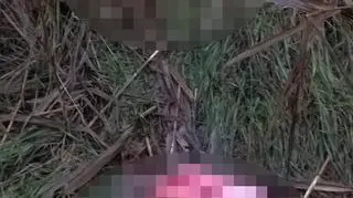 Sprawę porzuconych szczątków badają służby