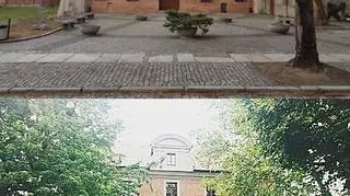 Sprzed Muzeum Archidiecezjalnego zniknęły dorodne lipy