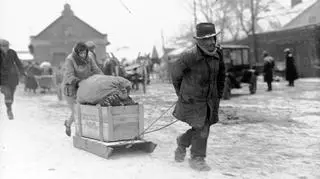 Sprzedaż węgla i drewna opałowego w Krakowie