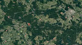 Stare Jabłonki obfitują w tereny leśne