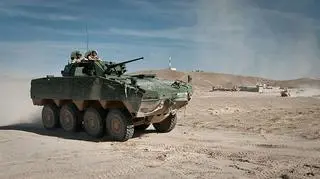 Stare wozy piechoty BWP mają być zastępowane Rosomakami