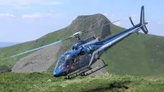 Starszy cywilny krewny AS550 - AS350 Ecureuil