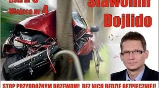 Stop przydrożnym drzewom!