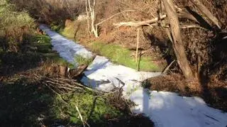 Strażacy pobrali próbki do badań