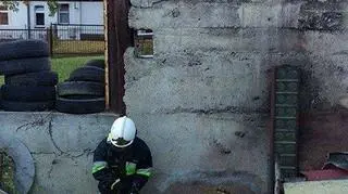 Strażacy ratowali kotka