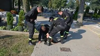 Strażacy uratowali życie szczeniakowi