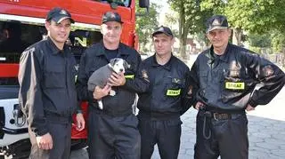 Strażacy uratowali życie szczeniakowi