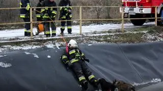 Strażacy użyli specjalnych uprzęży