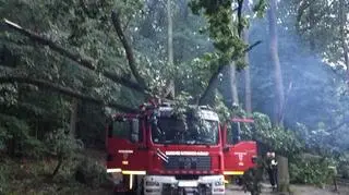 Strażakom nic się nie stało