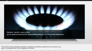Strona internetowa firmy - w nawiasie krótkie przeprosiny: "jeśli wcześniej zamieszczone tu zdjęcie kogokolwiek uraziło, serdecznie przepraszamy"