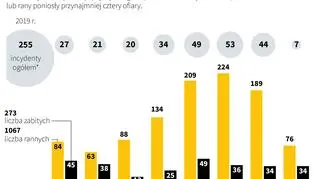 Strzelaniny w Stanach Zjednoczonych