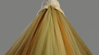 Suknia "Butterfly" Charlesa Jamesa, 1954