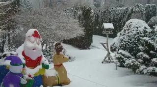 Święty Mikołaj i przyjaciele