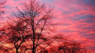 Świt (fot D. Eychler)