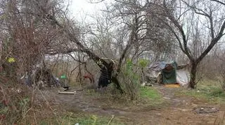 Szałasy imigrantów niedaleko Suboticy przy granicy z Węgrami