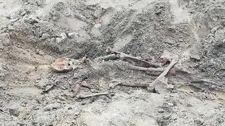Szczątki znaleziono na terenie budowy w Gdańsku