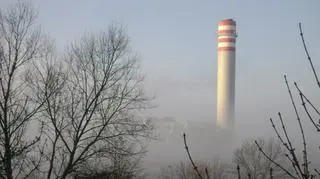 Szczeciński komin skryty za oparem (foto: Fan TVN24)