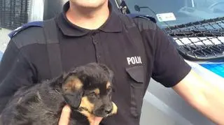 Szczeniak z policjantem, który go uratował