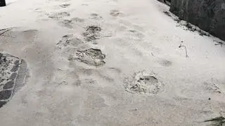 Sztorm wywiał piasek z plaży