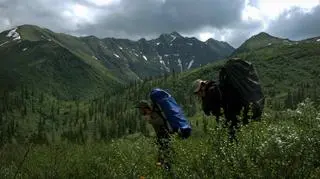 Tajga nad jeziorem Bajkał (fot. Long Walk Plus Expedition)