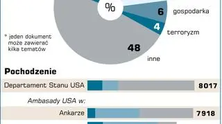 Tajne depesze dyplomatyczne USA w sieci ujawnione w 2011 roku