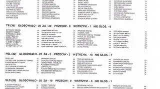 Tak głosowali posłowie cz. 2