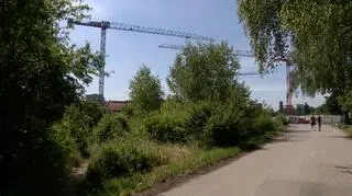 Tak obecnie wygląda sporny teren 