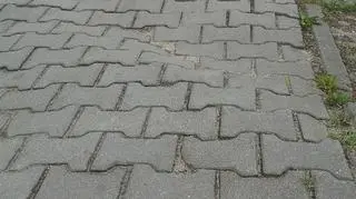 Tak pofałdowany chodnik to nie lada wyzwanie dla pieszych i rowerzystów