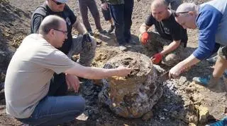 Tak wygląda silnik "Liberatora" po 74 latach 