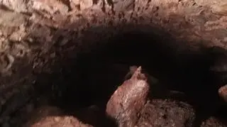 Tak wygląda wnętrze zapomnianego tunelu
