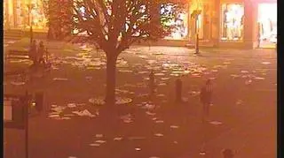 Tak wyglądał rynek po "roznoszeniu" ulotek 